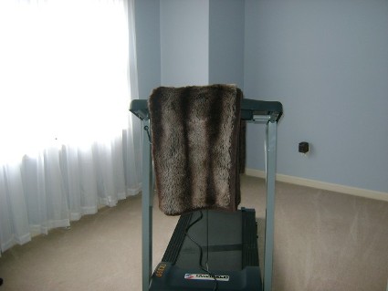 Before, Sitting Room